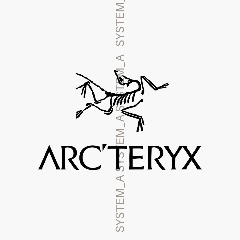 Arc'teryx SYSTEM_A DROP 08